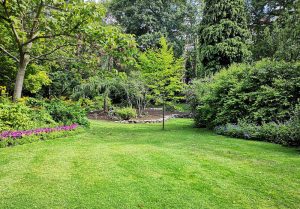 Optimiser l'expérience du jardin à Gevrey-Chambertin